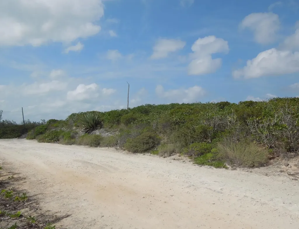 Whale Point Estates Eleuthera BS