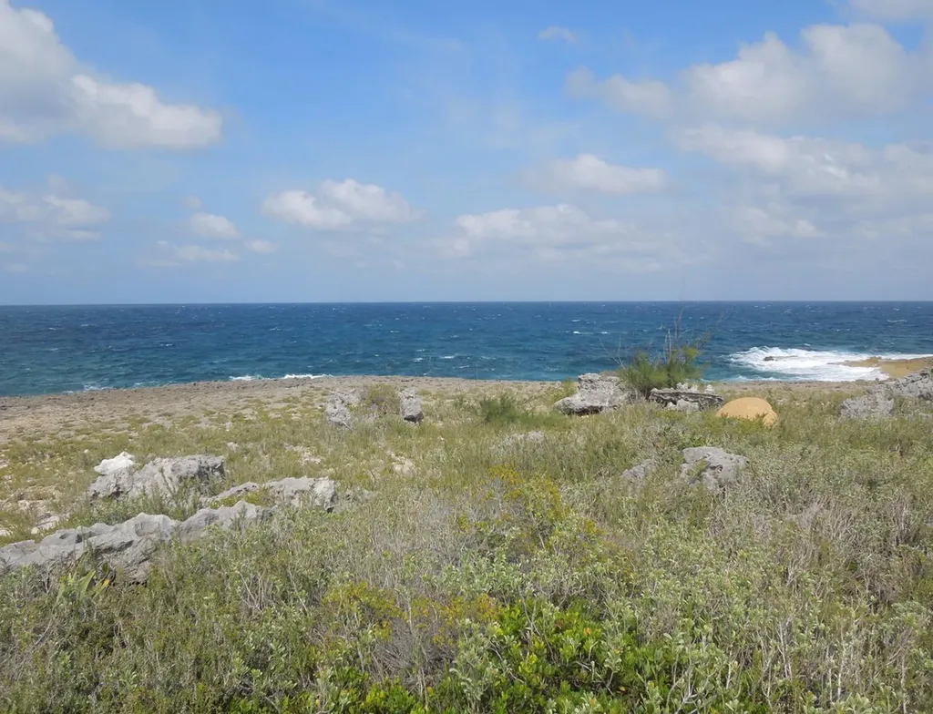 Whale Point Estates Eleuthera BS