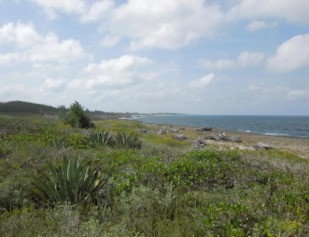 Whale Point Estates Eleuthera BS