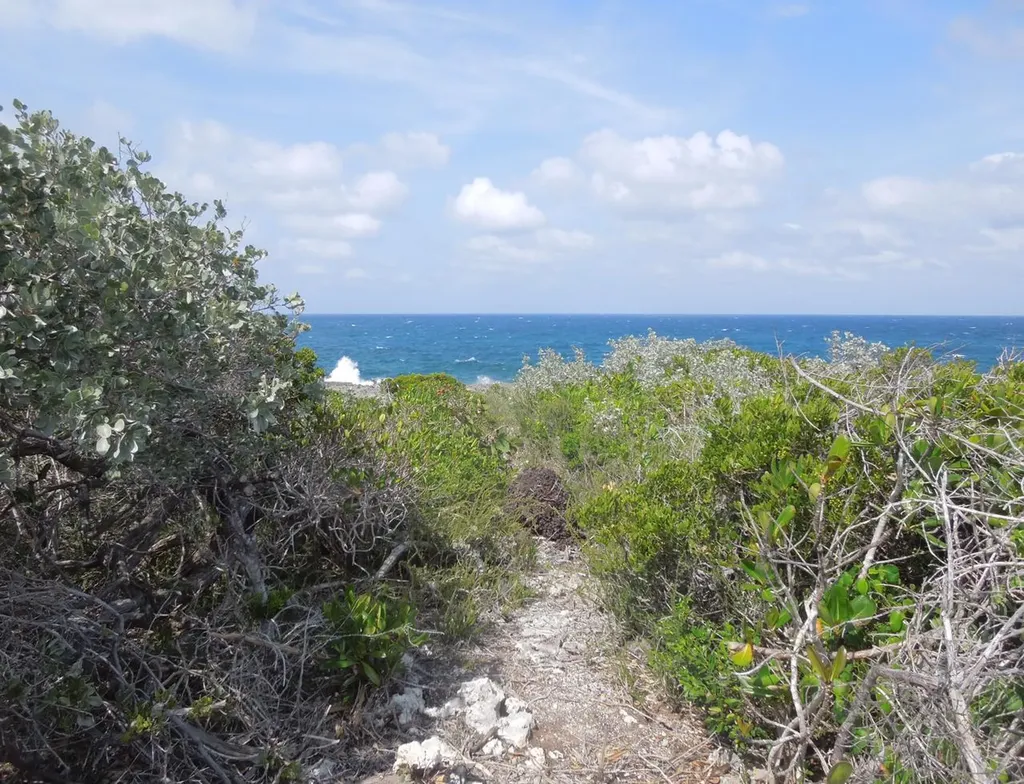 Whale Point Estates Eleuthera BS