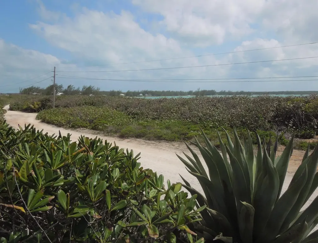 Whale Point Estates Eleuthera BS