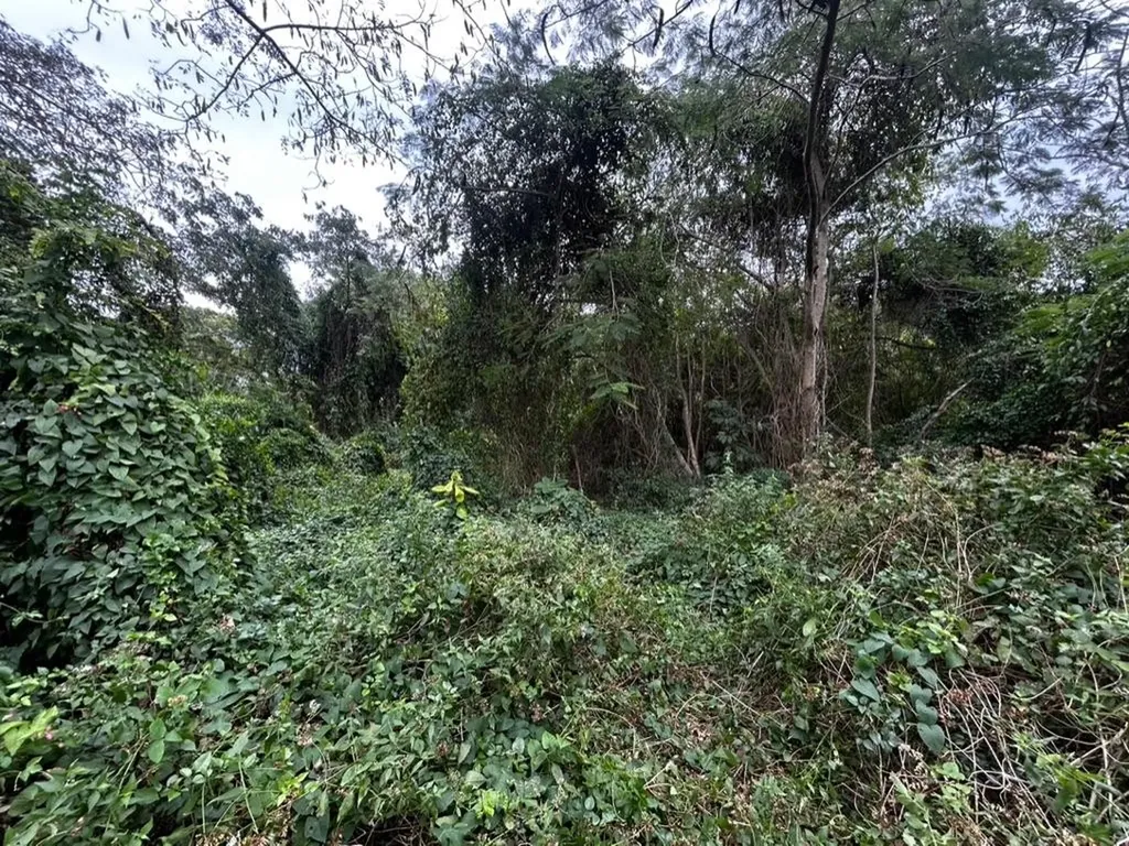 Vista Marina New Providence Paradise Island BS