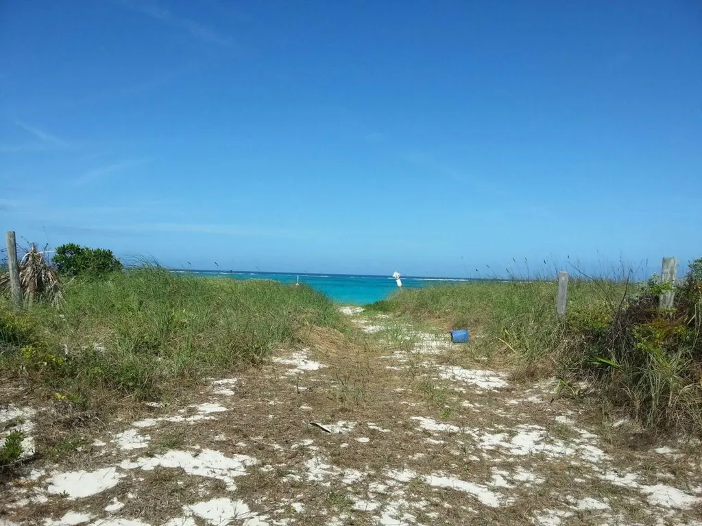 Camperdown Beach Cat Island BS