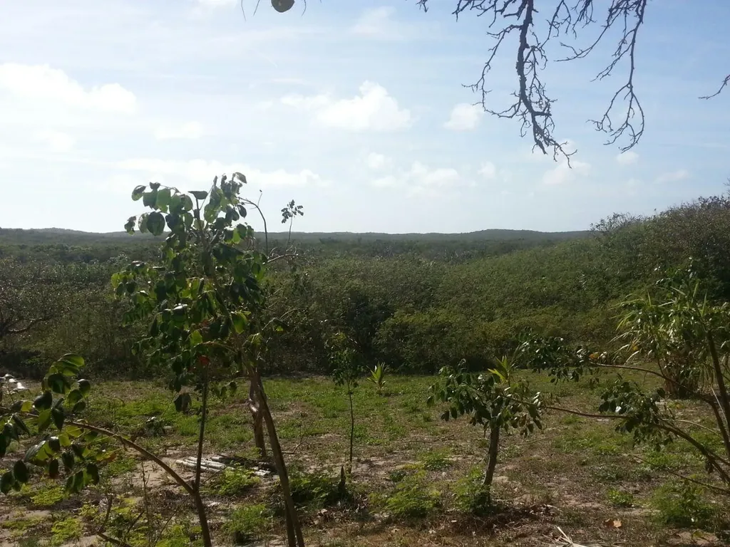 Camperdown Beach Cat Island BS
