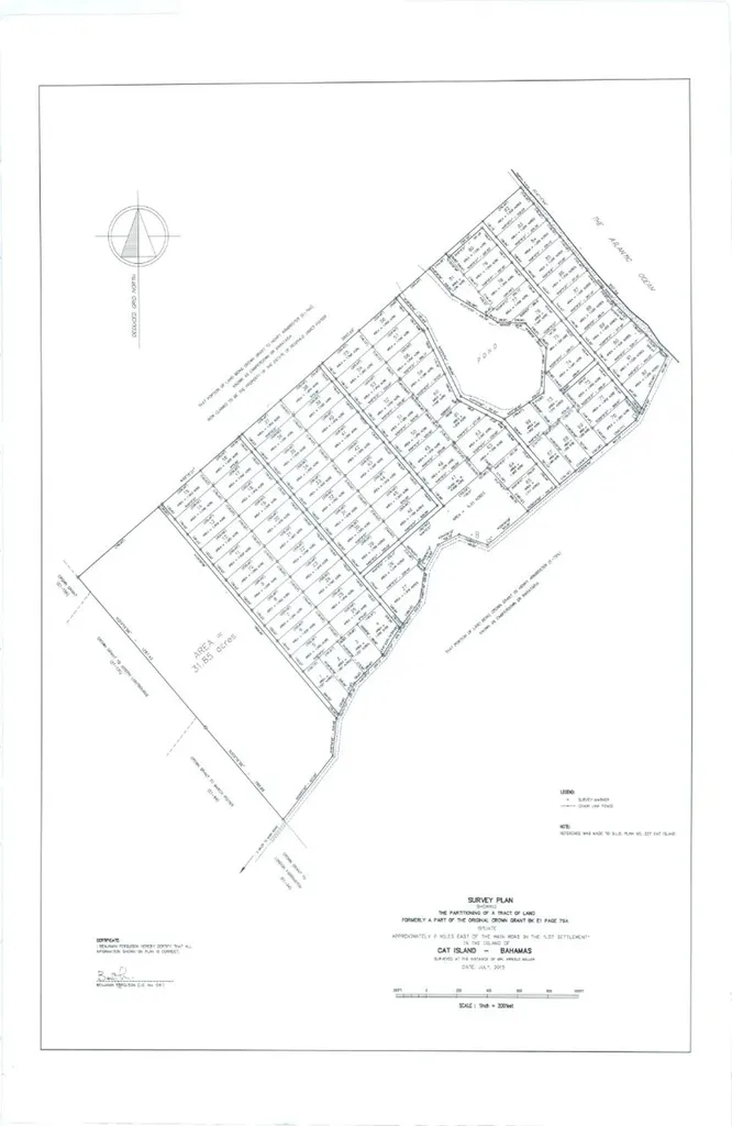 Camperdown Beach Cat Island BS