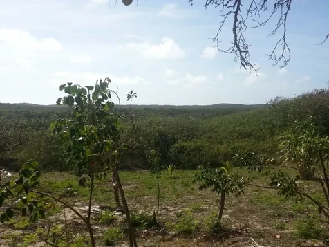 Camperdown Beach Cat Island BS