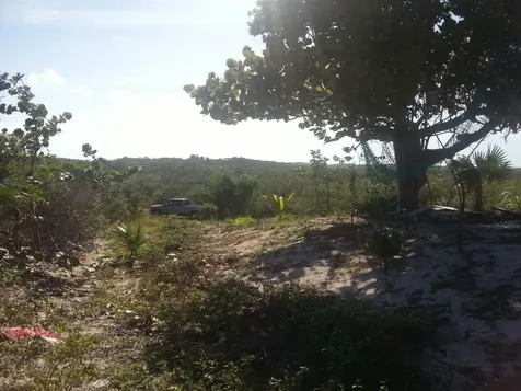 Camperdown Beach Cat Island BS