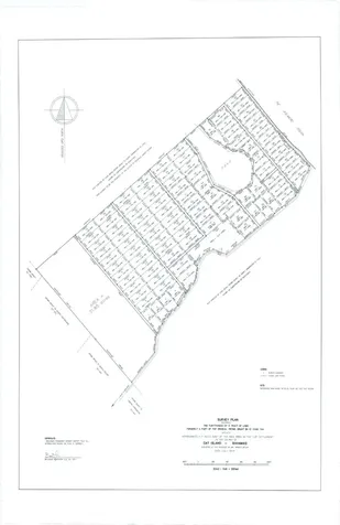 Camperdown Beach Cat Island BS