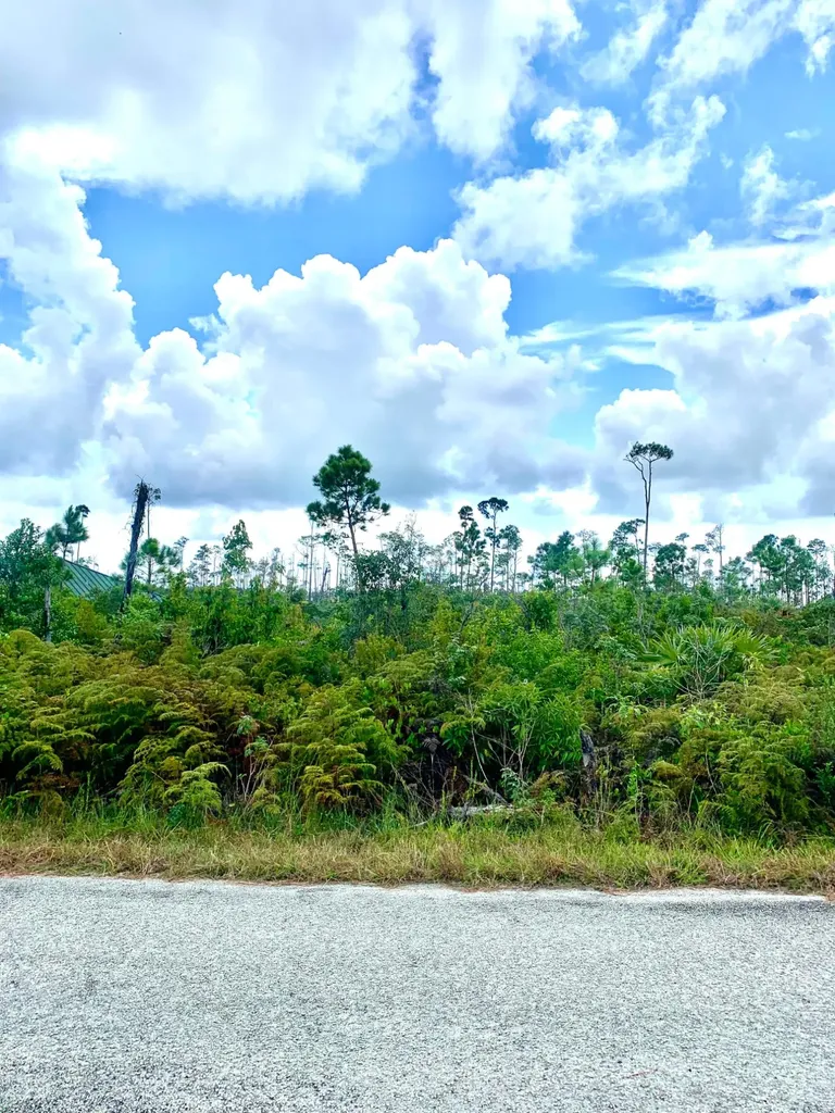 Cadney Place #10 Grand Bahama Freeport BS