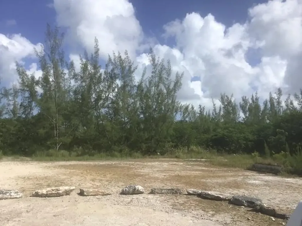 Northern Side Of Cow Pen New Providence Paradise Island BS