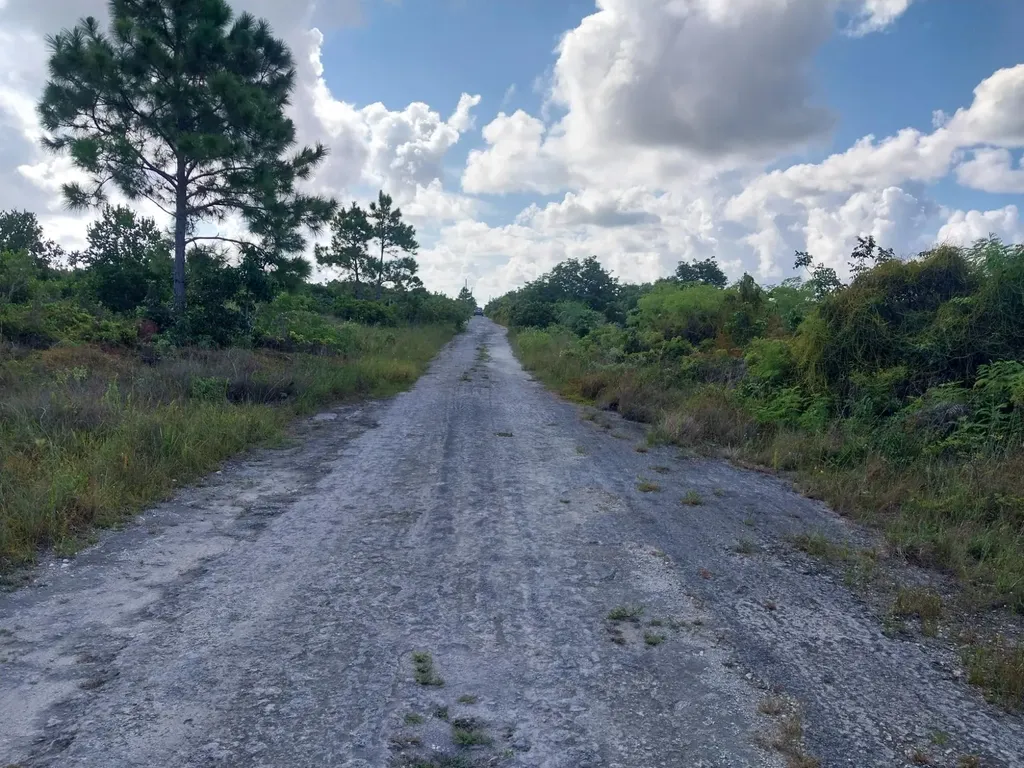 Barnett Avenue, Holmes Ro 165 Grand Bahama Freeport BS