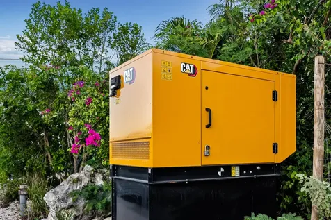 Scrub Hill Long Island BS