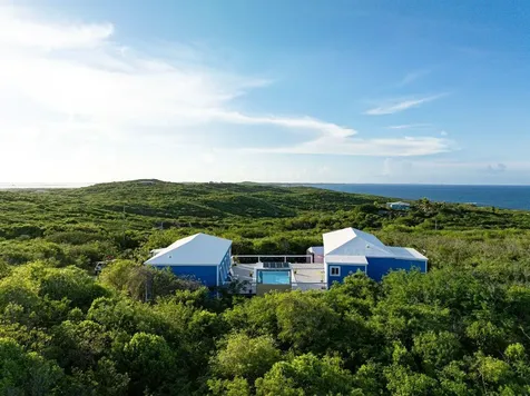 Scrub Hill Long Island BS