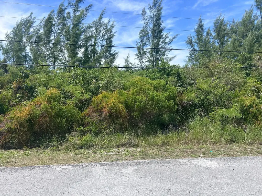 Lot C Marshall Road New Providence Paradise Island BS