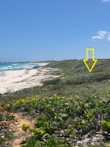 Southwind Long Island BS