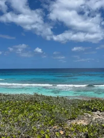 Southwind Long Island BS