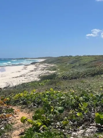 Southwind Long Island BS