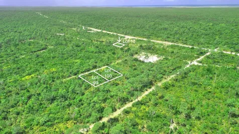 3 Lots Pinehurst Bah Palm Abaco BS