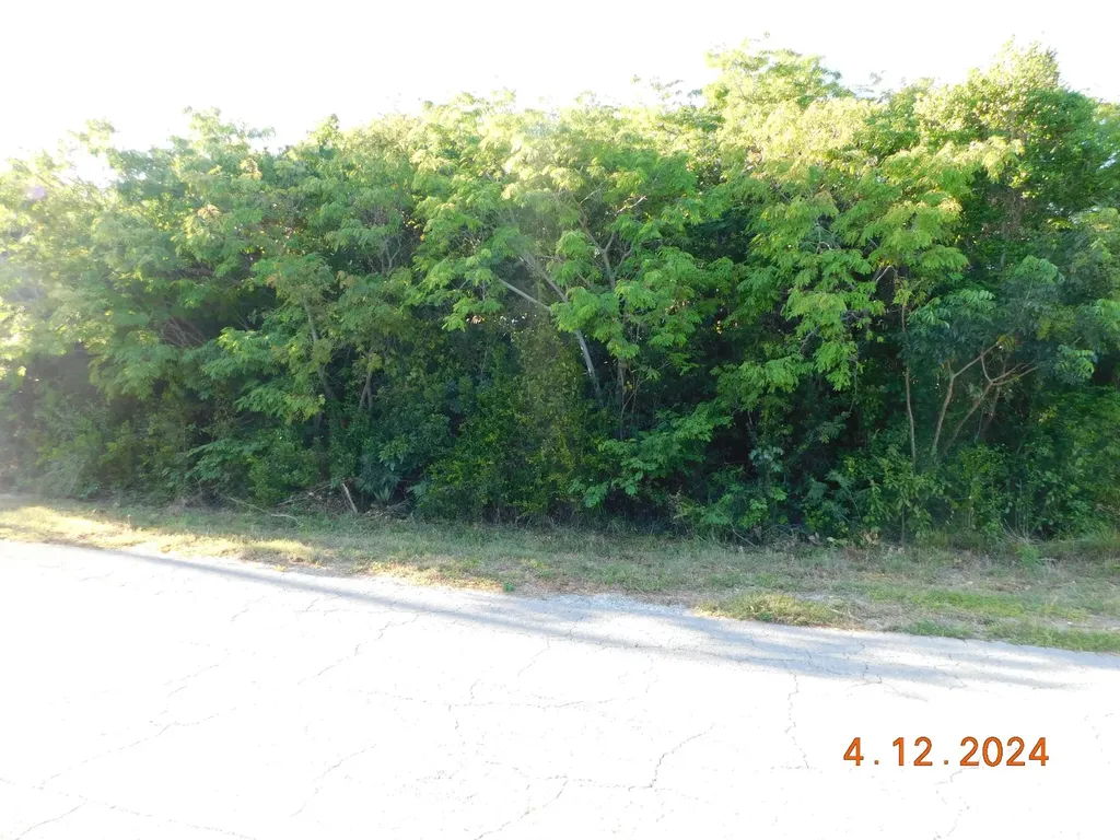 Kelly Court 134 Grand Bahama Freeport BS