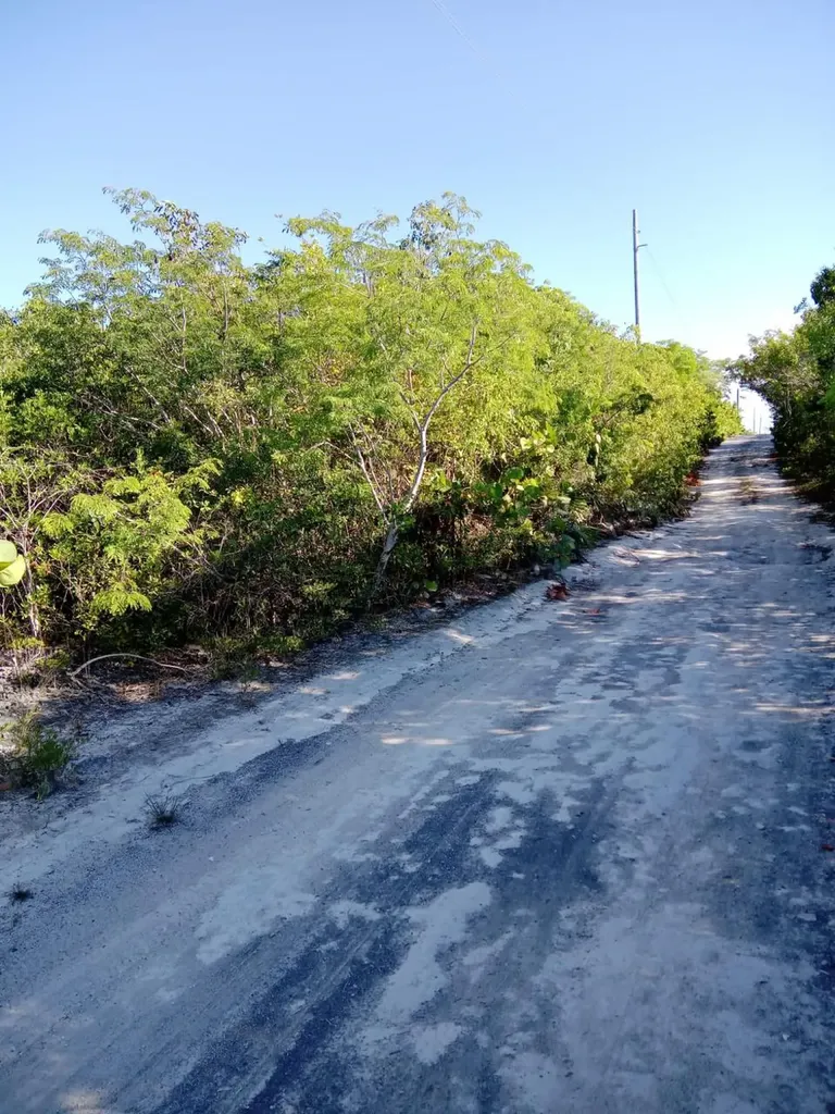 Bahama Island Beach #2 Exuma BS