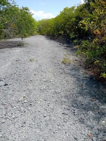 Bahama Island Beach #3 Exuma BS