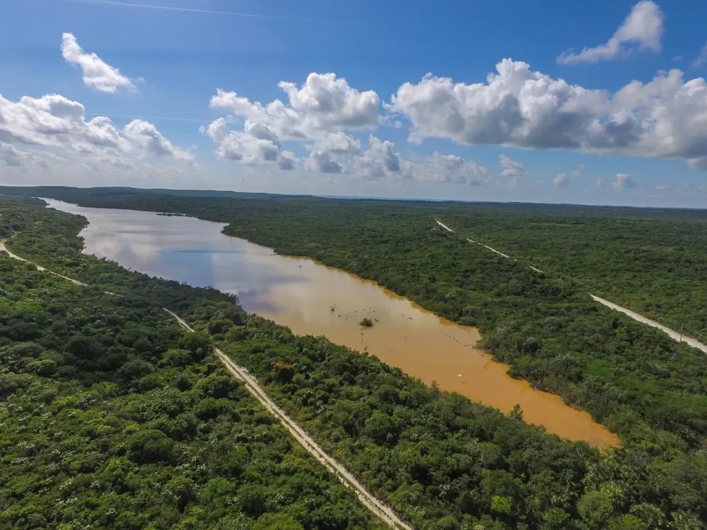 Greenwood, Cat Island Cat Island BS