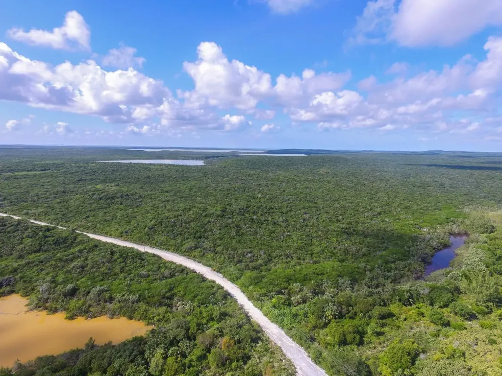 Greenwood, Cat Island Cat Island BS