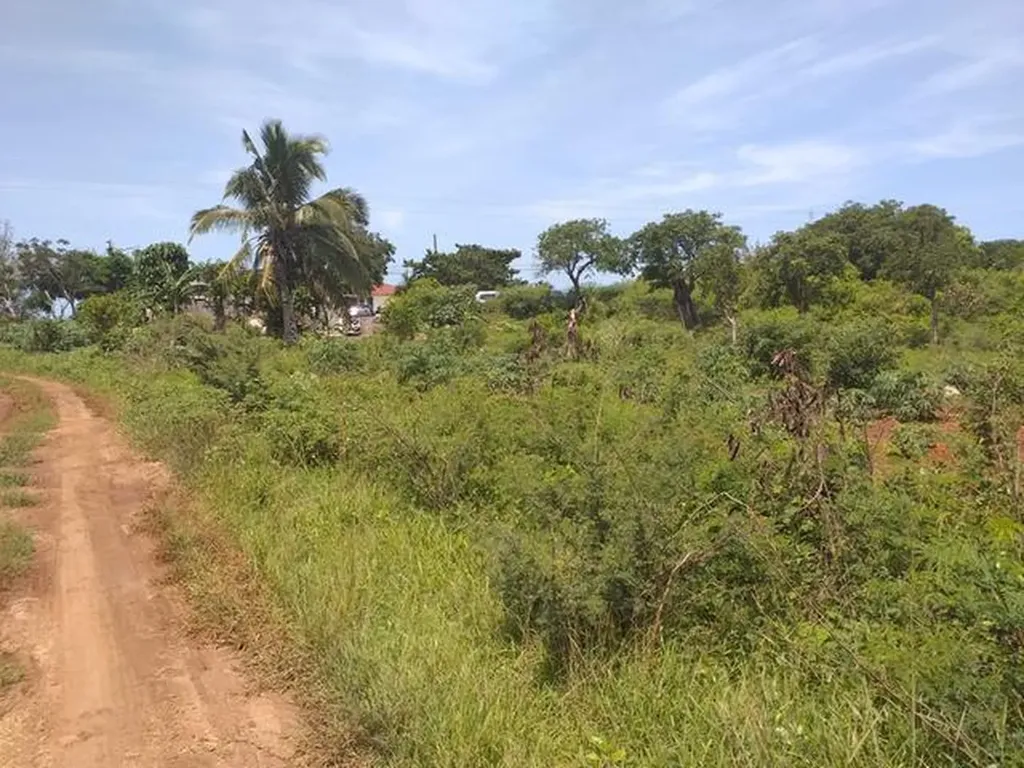 Queen's Highway Eleuthera BS