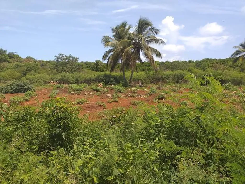 Queen's Highway Eleuthera BS