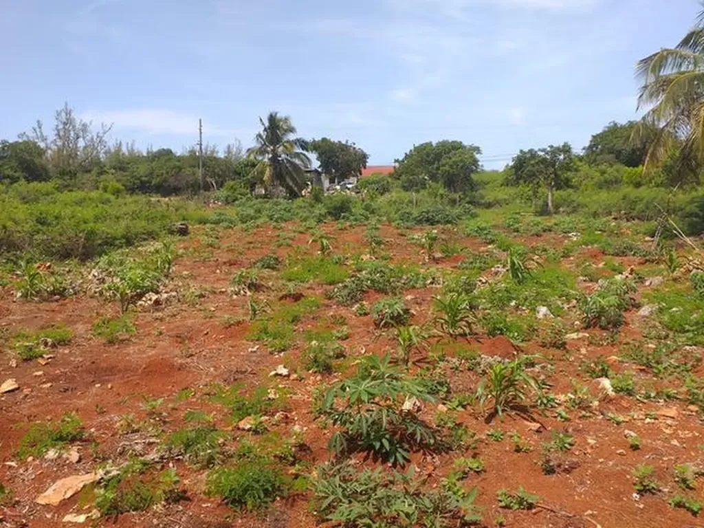 Queen's Highway Eleuthera BS