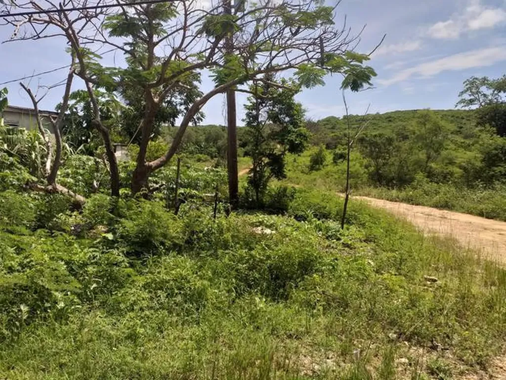 Queen's Highway Eleuthera BS