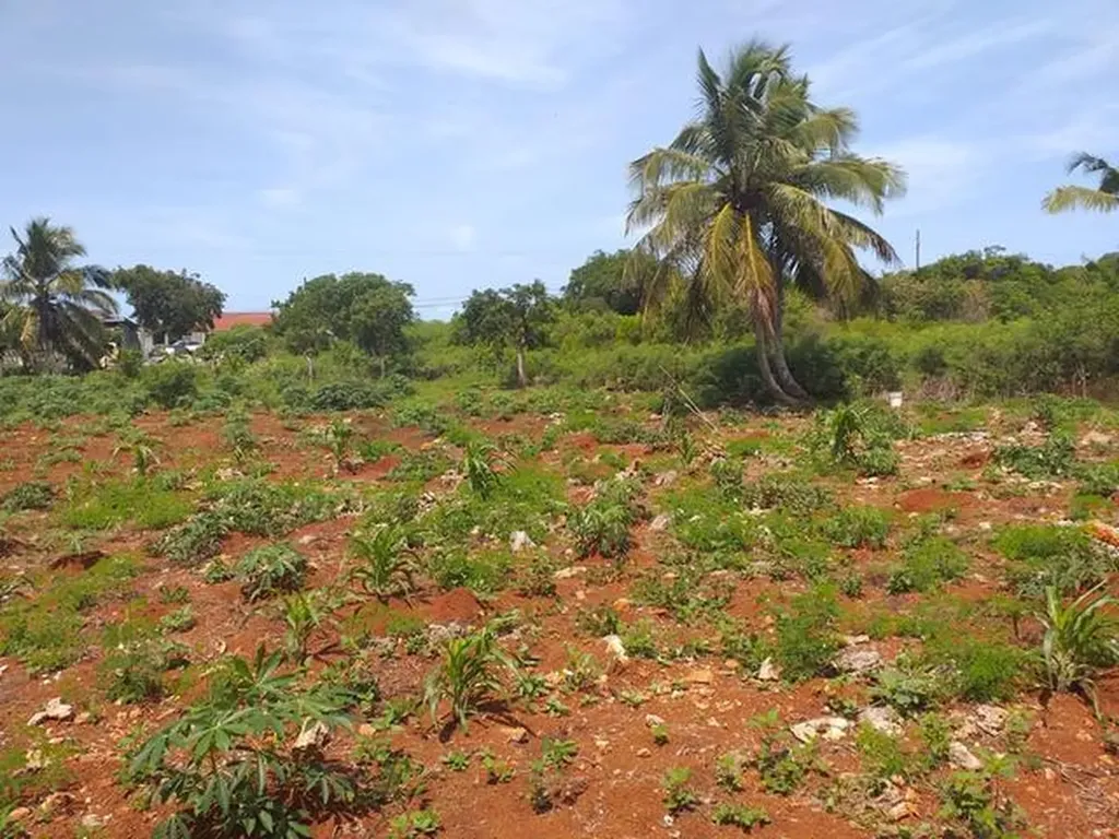 Queen's Highway Eleuthera BS