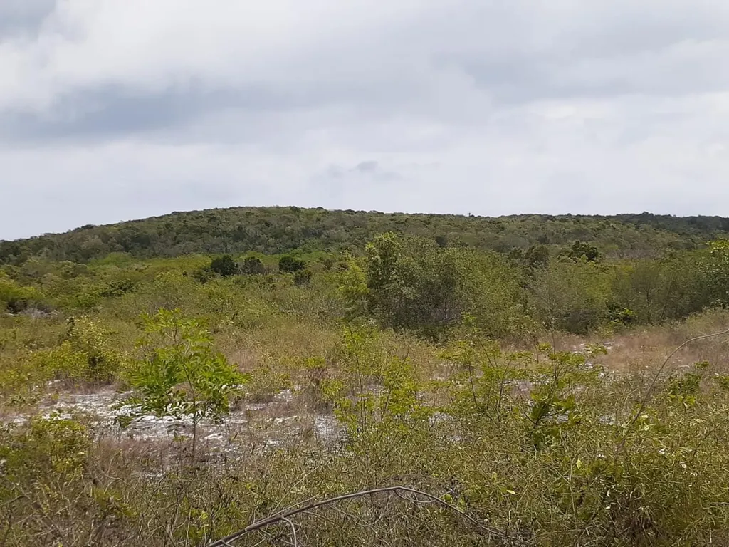 Queens Highway Cat Island BS