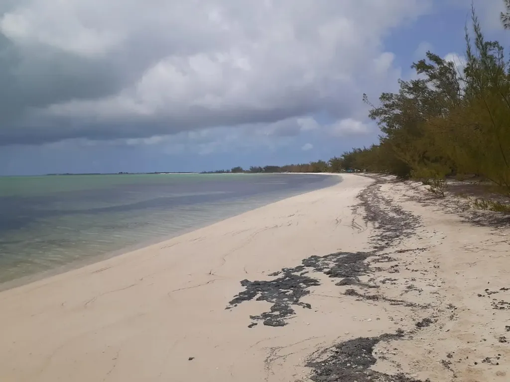 Queens Highway Cat Island BS