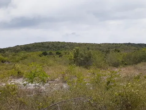 Queens Highway Cat Island BS