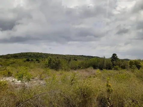 Queens Highway Cat Island BS