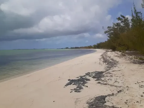 Queens Highway Cat Island BS
