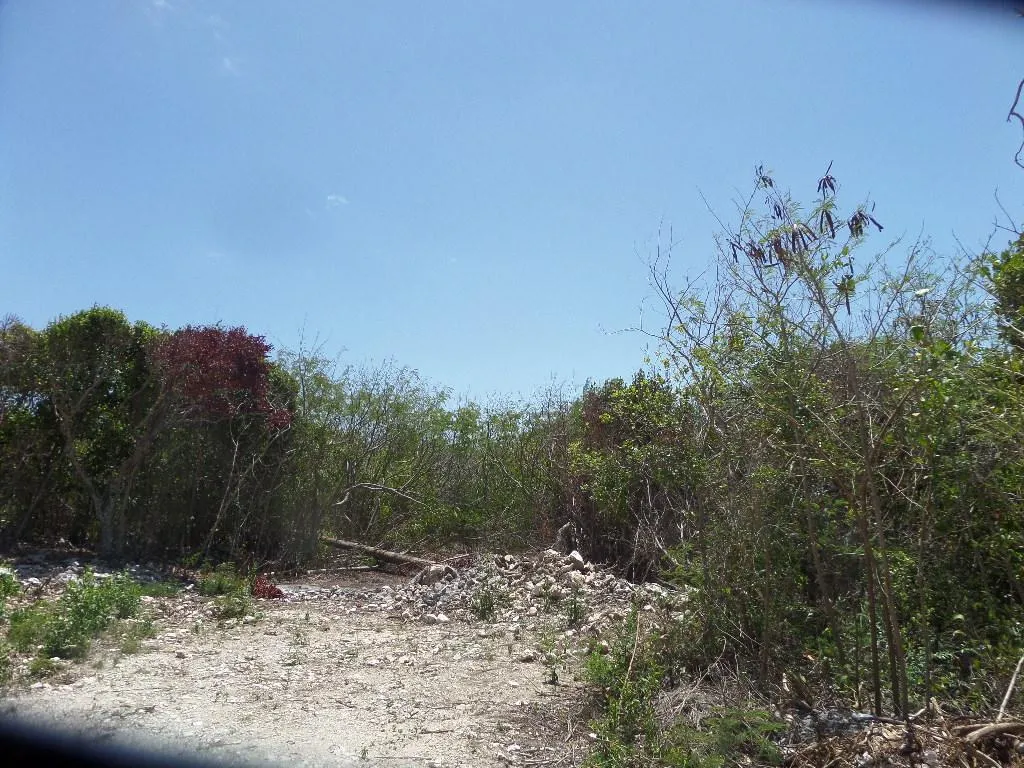 Stella Maris Long Island BS