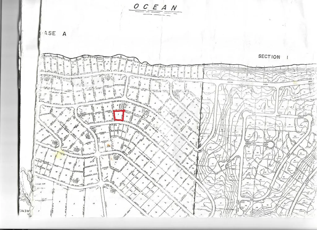 Stella Maris Long Island BS