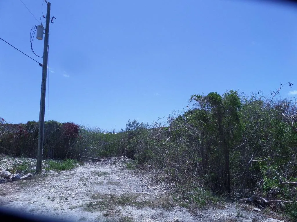 Stella Maris Long Island BS