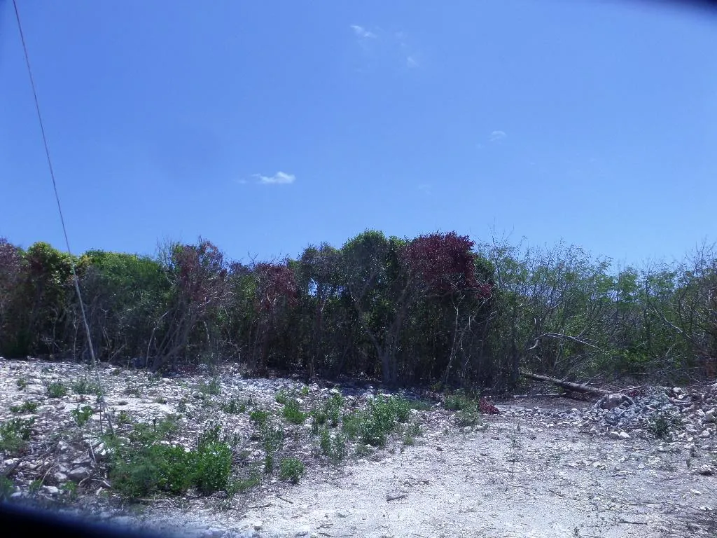 Stella Maris Long Island BS