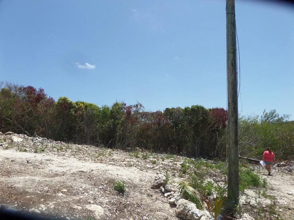 Stella Maris Long Island BS