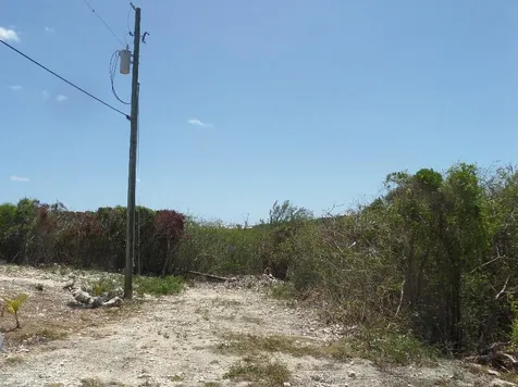 Stella Maris Long Island BS