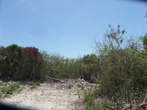 Stella Maris Long Island BS