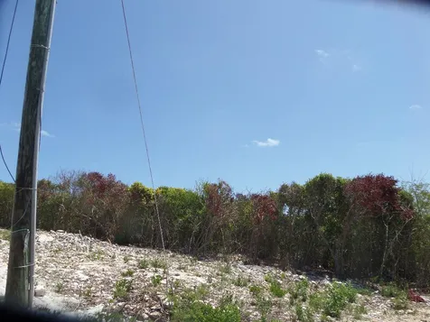 Stella Maris Long Island BS