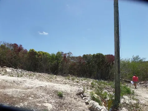 Stella Maris Long Island BS