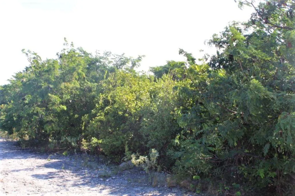 2 Acres In Morrisville Long Island BS