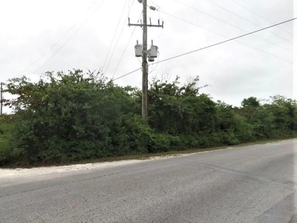 Hamilton's Lot Long Island BS