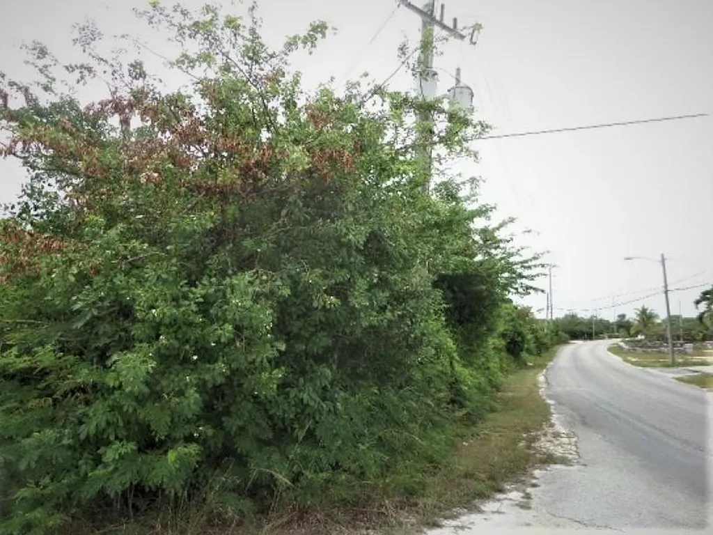 Hamilton's Lot Long Island BS