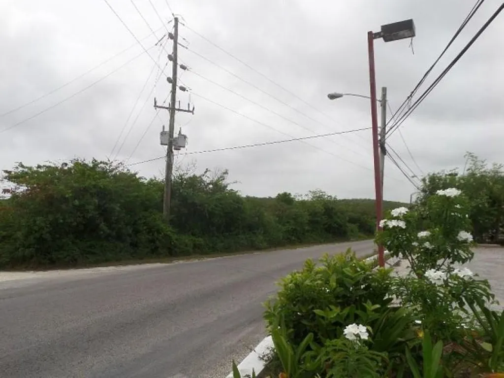 Hamilton's Lot Long Island BS